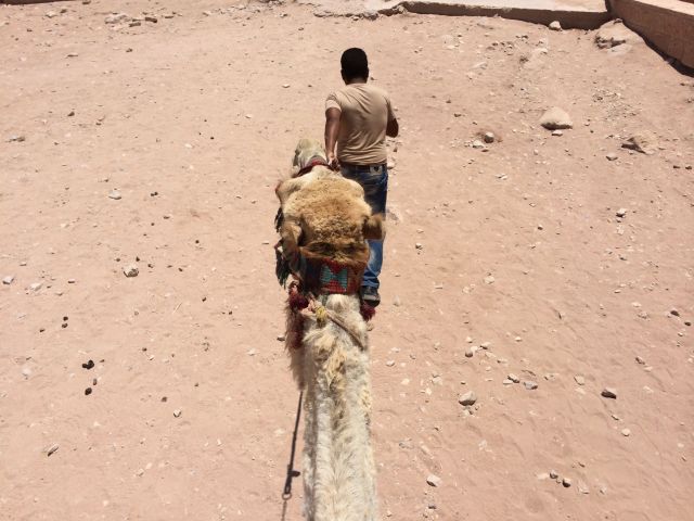 140622 Petra - From-Camels-back